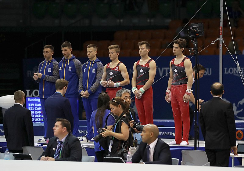 File:2019-06-27 1st FIG Artistic Gymnastics JWCH Men's All-around competition Subdivision 1 (Martin Rulsch) 30.jpg