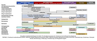 <span class="mw-page-title-main">Antimicrobial spectrum</span> Method of assessing antibiotics