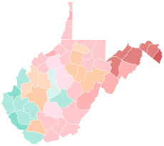 Results by county:
.mw-parser-output .legend{page-break-inside:avoid;break-inside:avoid-column}.mw-parser-output .legend-color{display:inline-block;min-width:1.25em;height:1.25em;line-height:1.25;margin:1px 0;text-align:center;border:1px solid black;background-color:transparent;color:black}.mw-parser-output .legend-text{}
Morrisey
20-30%
30-40%
40-50%
50-60%
60-70%
Capito
20-30%
30-40%
Miller
20-30%
30-40%
40-50% 2024 West Virginia gubernatorial Republican primary.svg