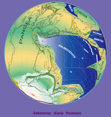 Early Permian (280 Ma) 280 Ma plate tectonic reconstruction.png