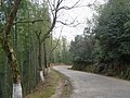 303省道 - Provincial Road 303 - 2016.03 - panoramio.jpg