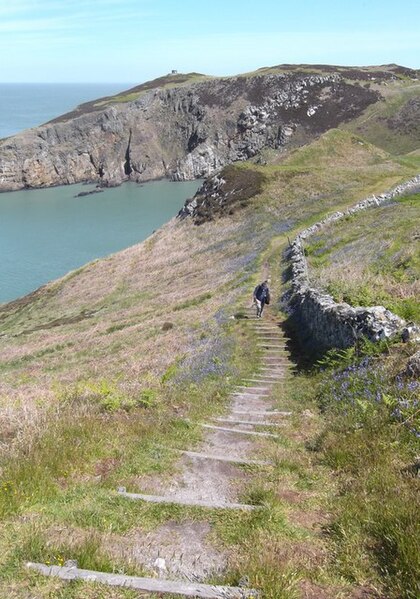 File:A stiff climb on the Anglesey Coastal Path - geograph.org.uk - 4002194.jpg