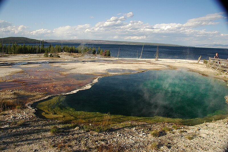 File:Abyss Pool (11 August 2011) 09.jpg