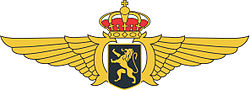 Aile COA-3-coul-20x7-300dpi.jpg