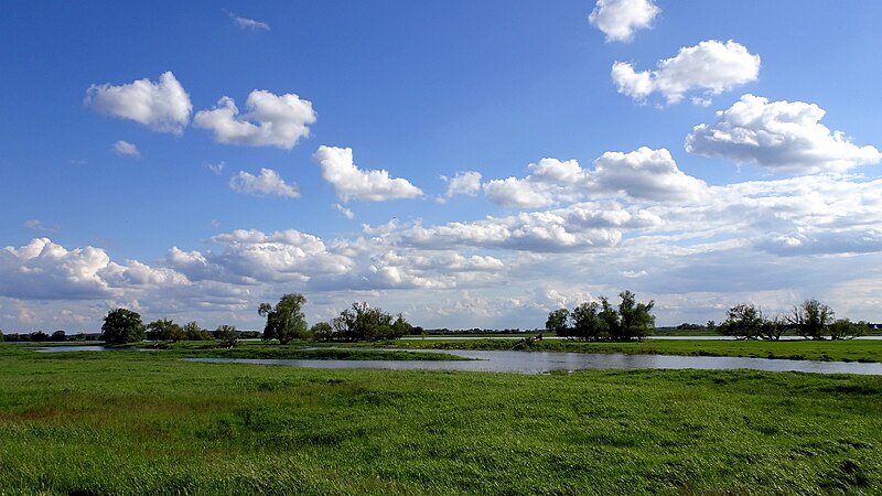 File:An der Elbe bei Jerichow 2.jpg