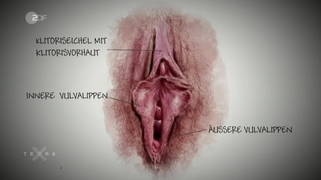 Vagina Pic