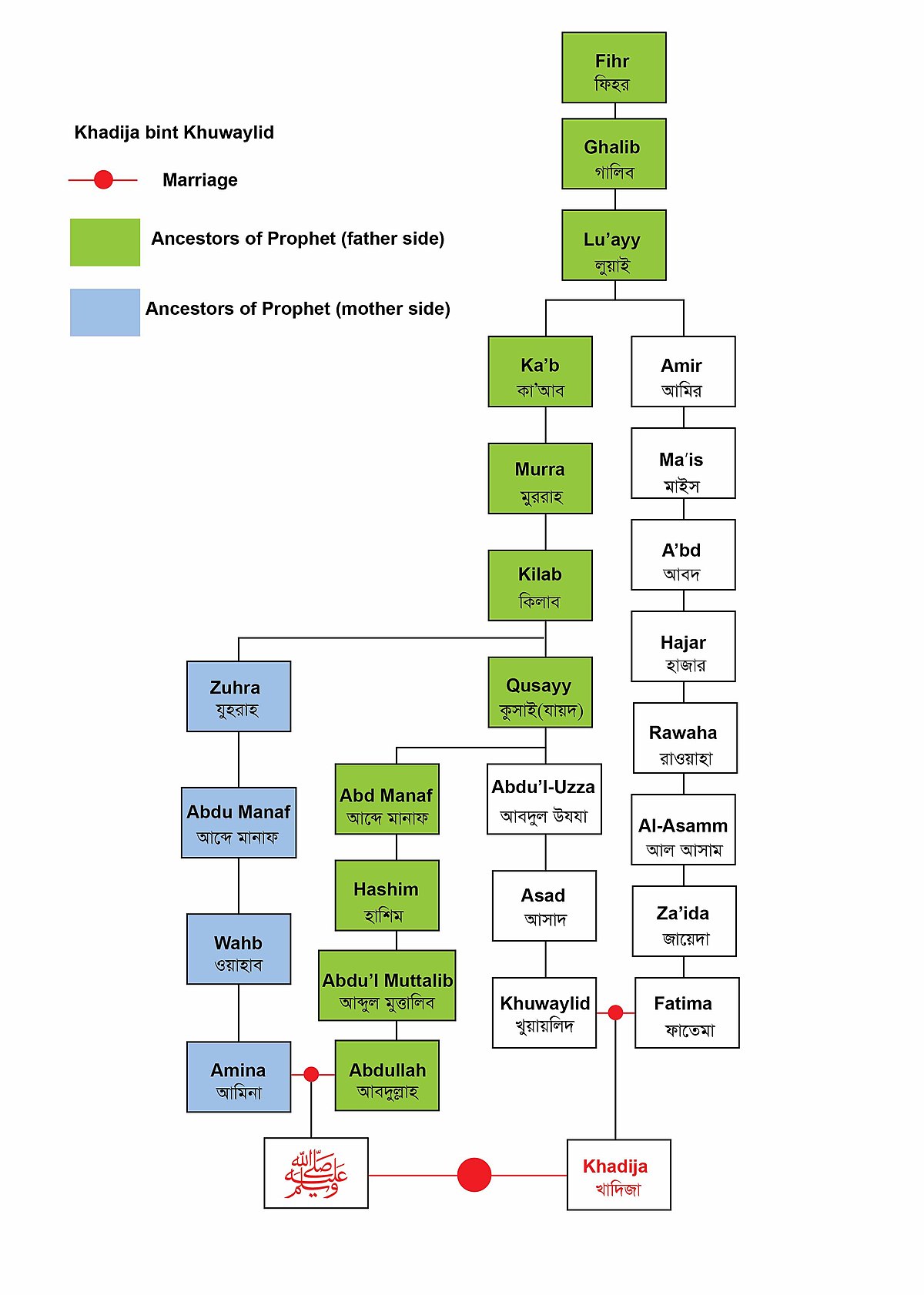 prophet muhammad wives family tree