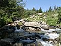 Français : La Lladure près de l'Isglesieta de Vallsera, Les Angles, Pyrénées-Orientales, France