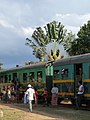 Arbre du voyageur - train FCE, Madagascar (26006135261).jpg