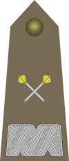 Army-POL-OF-10.svg