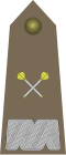 Ejército-POL-OF-10.svg