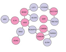 Associated loci pane. Pink genes are in IBD associated loci, blue are not. Associatedloci.png