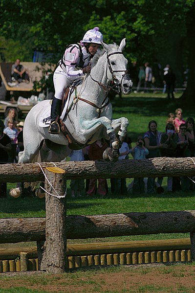 Gemma Tattersall and Jesters Quest jump the Open Ditch during the cross-country phase of Badminton Horse Trials 2007