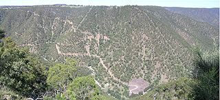 A hilly, wooded grassland in Hillgrove. Bakers Creek.jpg