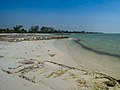 Beach Holbox island Mexico Strand (19556869294).jpg