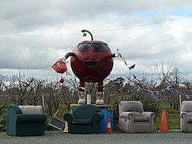 Big Cherry Wyuna 1.JPG