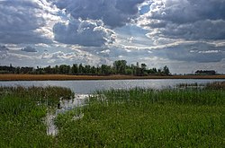 Заказник біля с. Коробівка