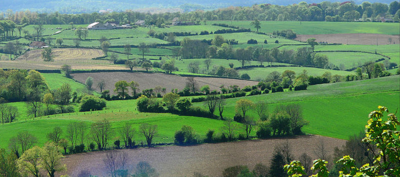 File:Bocage boulonnais.jpg