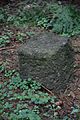 image=https://commons.wikimedia.org/wiki/File:Boundary_Stone_along_Rennsteig_(31).jpg