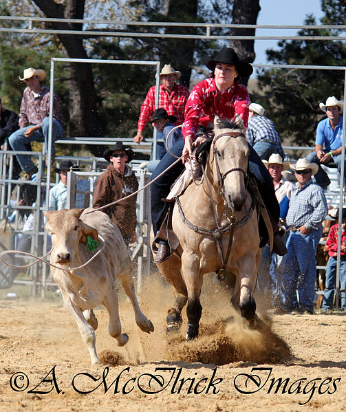 File:Breakaway Roping.jpg