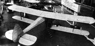 Bristol Type 110A Airplane