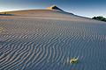 Sandstrukturen und farbiger Schatten. Sandwellen bei Abendbeleuchtung.