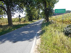 Straße, die zum Dorf Brzozówka, Jakubów führt