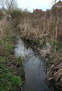 Whitchurch Waterways Country Park