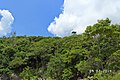 Bến Đầm, Côn Đảo, Vietnam - panoramio.jpg