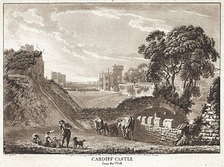 Cardiff castle from the west