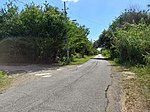 Carretera PR-507, Sector Buyones, Barrio Capitanejo, Ponce, Puerto Rico, mirando al sur (20211231 125528).jpg