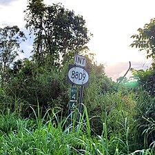 PR-809 south near PR-8809 intersection in Cedro Arriba, Naranjito