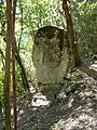 Castelnaud Lacoste menhir.JPG