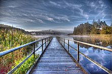 Jetty on Castle Lake Castle Lake Bailieboro.jpg