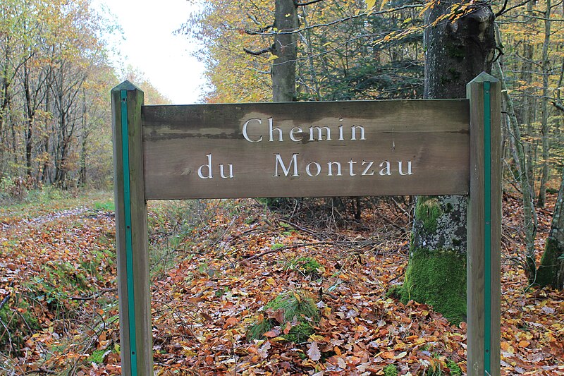 File:Chemin montzau.jpg