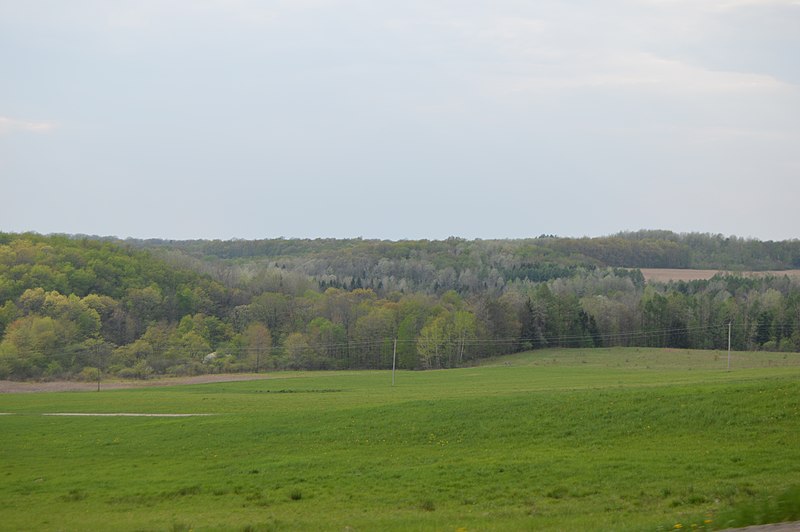 File:Cherry Valley open fields and woods.jpg