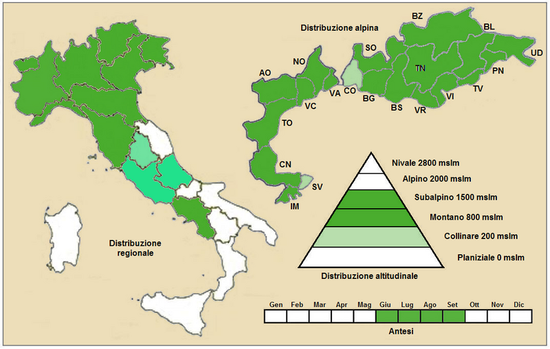 File:Cirsium eriophorum eriophorum - Distribuzione.PNG