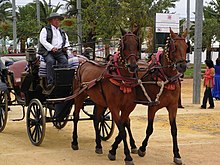 Coche de Caballos - Feria de Cordoba.jpg