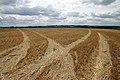 Combine trails. Looking south from the Stour Valley Path, near Boyton End, west of Haverhill.