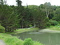 Thumbnail for Coyote Creek (Marin County)