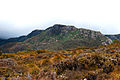 Foothills of Cradle Mountain - near Dove Lake, Tasmania