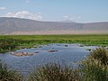 Crater and wildlife, Ngorongoro (2015).jpg