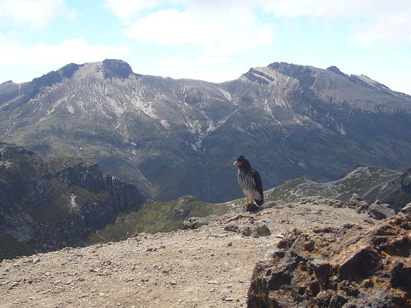 File:Curiquingue sobre Rucu Pichincha direccion Guagua Pichincha.JPG