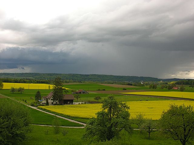 Countryside near Dörflingen