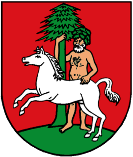 Wildemann,  Niedersachsen, Deutschland