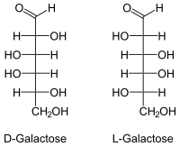 Structure du galactose