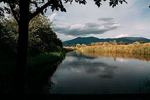 Espace naturel protégé d'intérêt local Stagni di Focognano