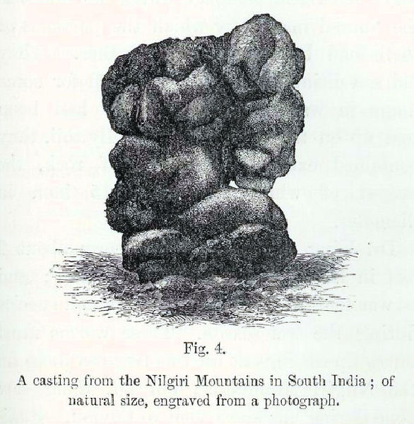 An illustration of an earthworm casting taken from Charles Darwin's publication on the movement of organic matter in soils through the ecological acti