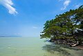 Vue du lac Dau Tieng