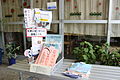 Demachi Shoutenkai Tamako Market Corner.JPG